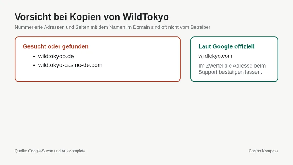 Warnung vor Kopien und Spiegelseiten von WildTokyo